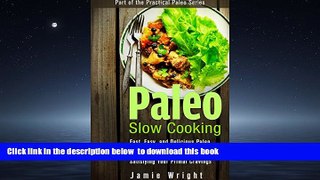 Best book  Paleo Slow Cooking: Fast, Easy, and Delicious Paleo Crock Pot Recipes for Losing