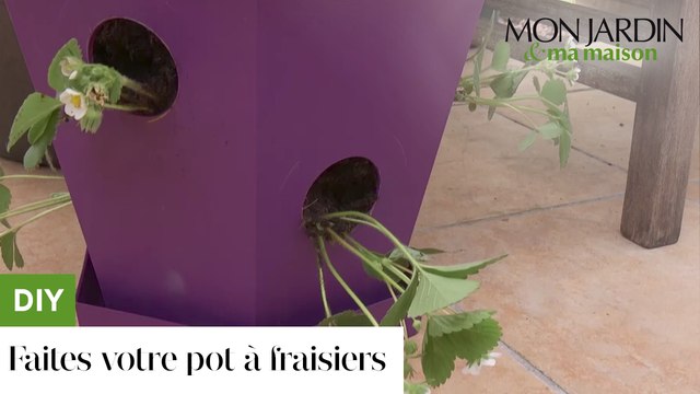 DIY : faites votre pot à fraisiers !