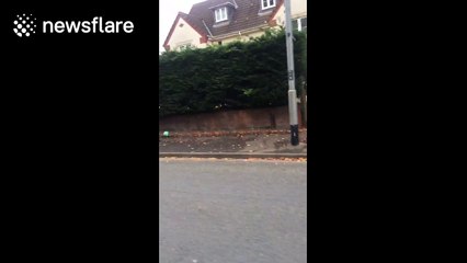 Topless man with beer plays football on road