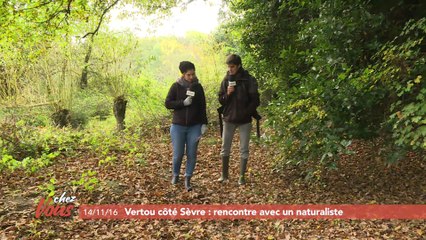 Chez vous à Vertou, côté Sèvre nantaise #1