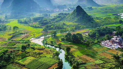 الشيخ صالح بن محمد اللحيدان حفظه الله