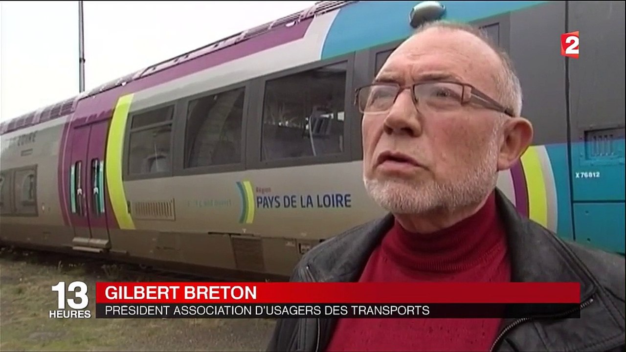 SNCF : quand des feuilles mortes bloquent les trains