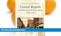 Big Sales  Grand Rapids in Vintage Postcards, 1890-1940 (Postcard History)  Premium Ebooks Online