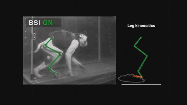 Brain implant allows paralysed monkey to walk