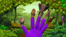 Finger Family Rhymes Animals Cartoons for Children | Animals Finger Family Children Nursery Rhymes