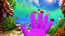 Finger Family Children Nursery Rhymes By Sea Animals Collection Sharks Fish Piranah Fish Cartoons