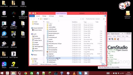 créé son serv spigot