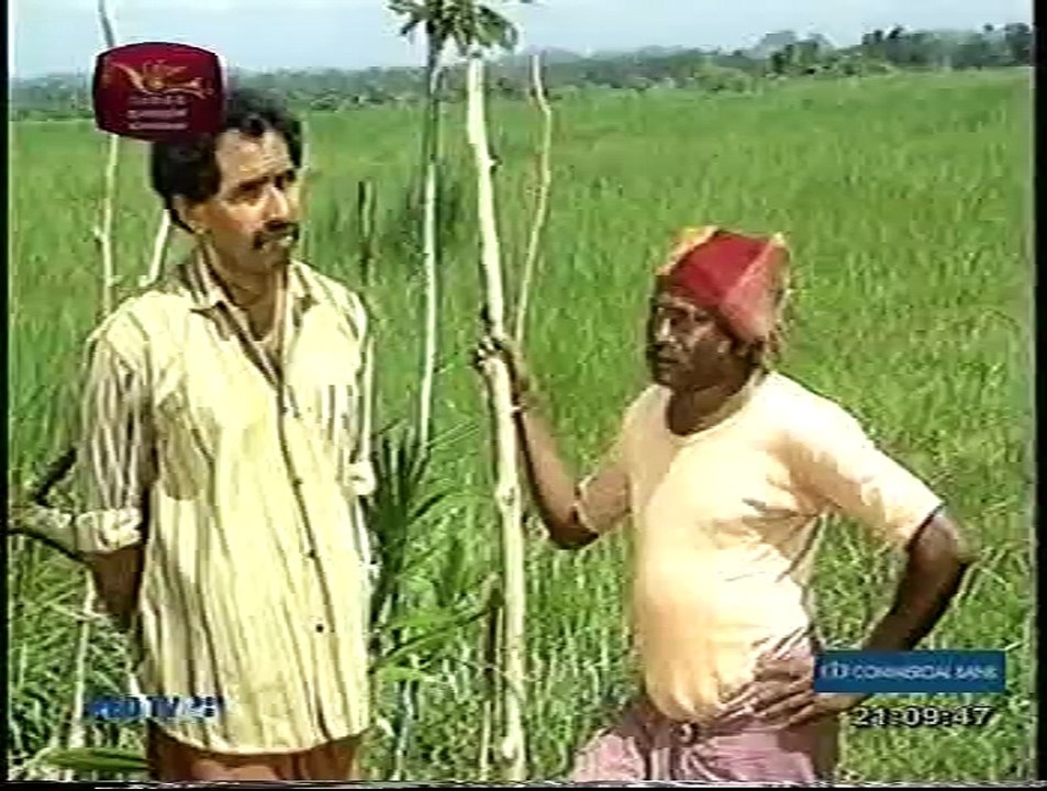 Kande gedara 18