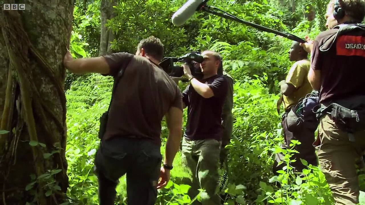 Gorilla shows Steve who's boss - Deadly 60 - Series 2