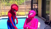 Pink Spidergirl vs Spiderman! Maleficent, pregnant frozen Elsa Joker girl Family Superhero FUN IRL