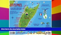 Big Deals  Cozumel Dive Map   Reef Creatures Guide Franko Maps Laminated Fish Card  Best Seller