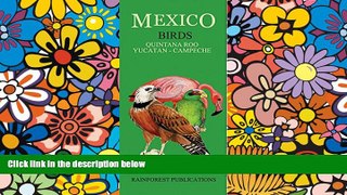 Big Deals  Mexico Caribbean Regions Birds Guide (Laminated Foldout Pocket Field Guide) (English