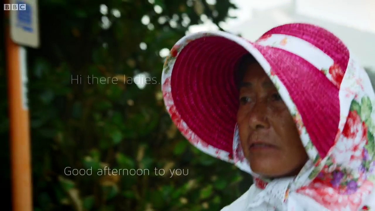 Old Woman Is Master Sea Snake Catcher! - Wild Japan