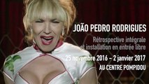 Teaser | João Pedro Rodrigues | Rétrospective intégrale
