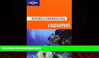 Books to Read  Lonely Planet Diving   Snorkeling Cozumel (Lonely Planet Diving and Snorkeling