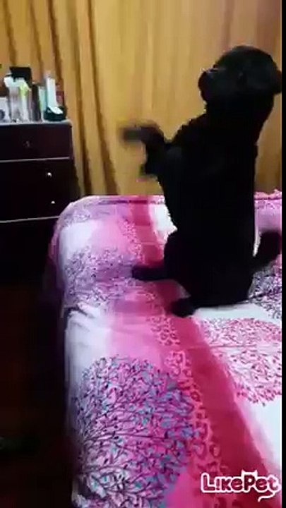 빵