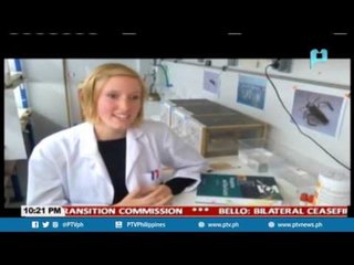 GLOBAL NEWS: Stressed out mosquitoes more vulnerable to insecticide