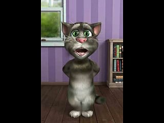 sylheti talking Tom  aws videos