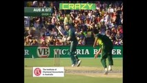 ★(Top-10 )★  Most Weird Cricket Shots ●► HD Cricket Video Compilation