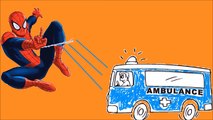 Spiderman Cartoon Learn Colors with Police Cars for Kids | Spider Man Teach Colors to Toddlers