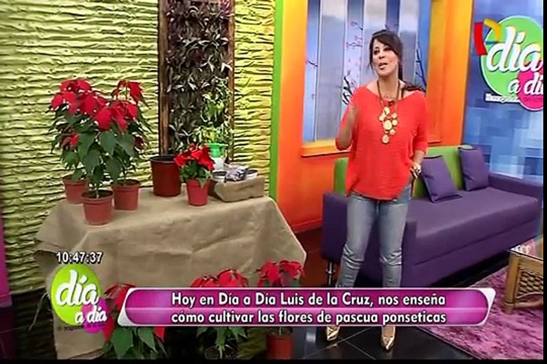 Aprende a preparar un sabroso arroz con mariscos al estilo chiclayano