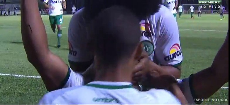 Botafogo vs Chapecoense 0-2 Sergio Manoel goal - Gol de Sergio Manoel 35ª Rodada do Brasileirão 16-11-2016 (HD)
