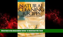Best books  Natural Cleaning Recipes - The Definitive Guide: Green   Eco-Friendly Home Cleaning