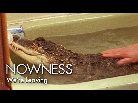 NOWNESS Shorts: We’re Leaving