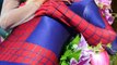 Spiderman DEAD Frozen Elsa | Superman, Joker & Hulk |Spiderman Frozen Elsa Anna Prank in Pool| #16