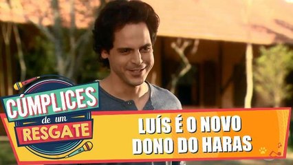 Luís é o novo dono do Haras
