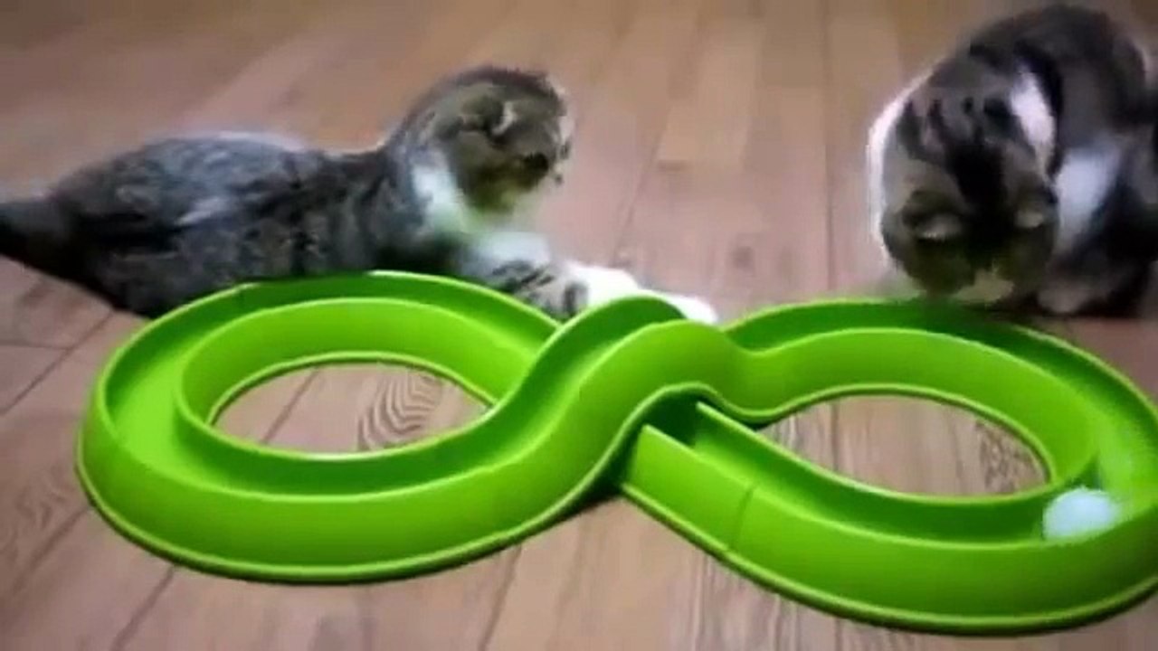 Приколы! подборка СМЕШНОГО видео котов! 20 мин Угара! подборка 2014 Funny Cats Compilation 20 min
