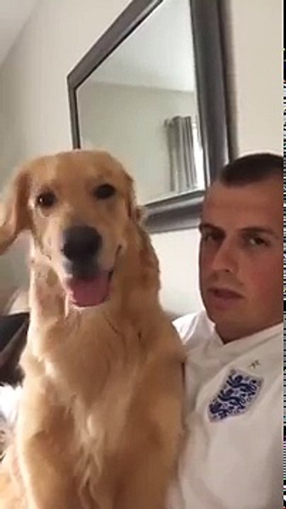 Surprised Dog Reacts to the News That He's Getting a Brother