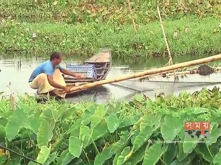 খুলনার খালে বিলে বেড়েছে দেশি মাছের সংখ্যা
