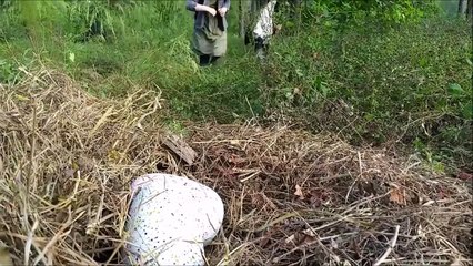 Toy Hunt - Kid Explorers find MAGICAL Hatchimals part3