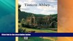 Big Sales  Tintern Abbey (CADW Guidebooks)  BOOOK ONLINE