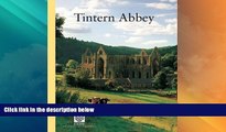Big Sales  Tintern Abbey (CADW Guidebooks)  BOOOK ONLINE