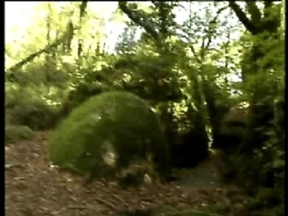 La grotte du Druide