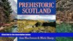 Big Deals  Prehistoric Scotland  READ ONLINE