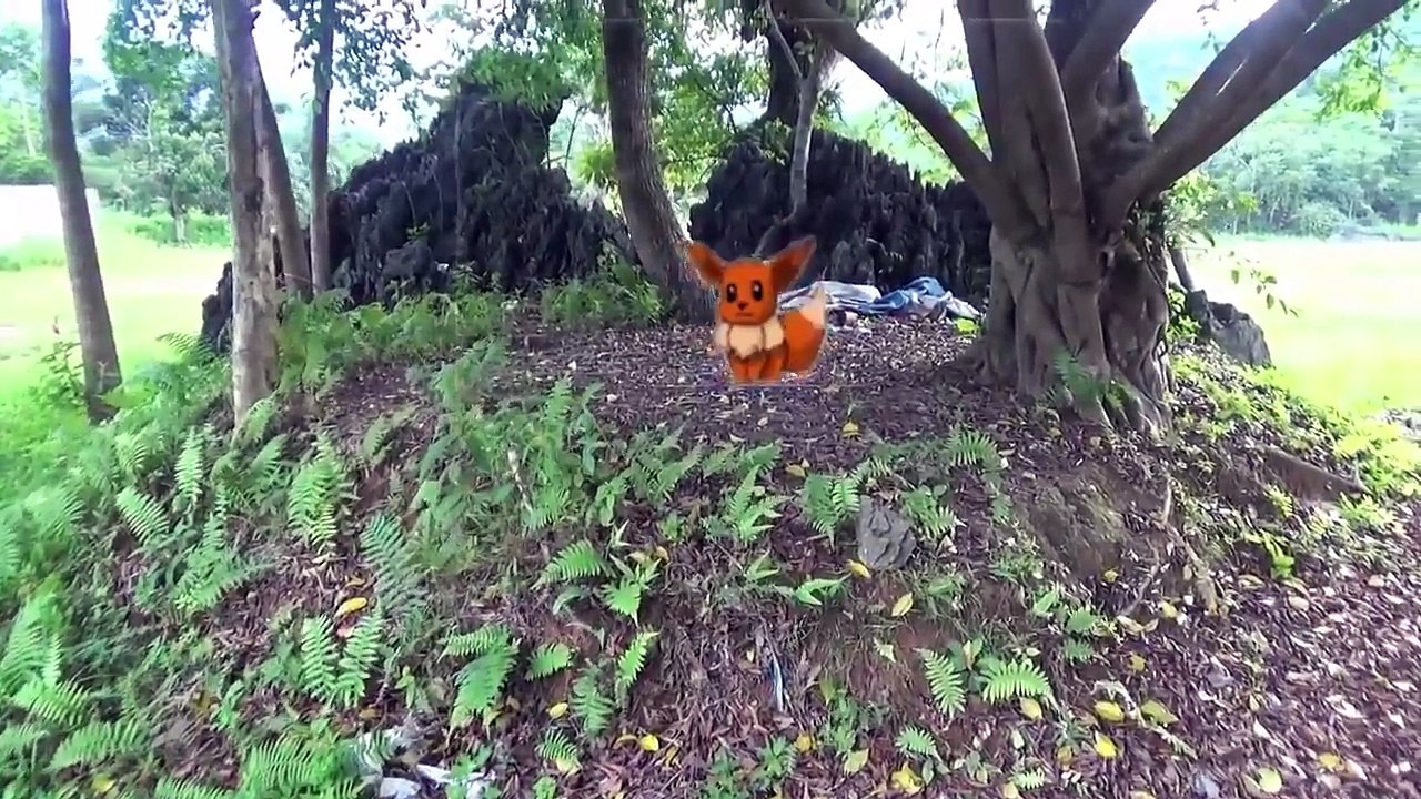 Người Nhện Và Siêu Anh Hùng Chơi Pokemon Go & Công Chúa Elsa Đi Bể Bơi Với Người Nhện