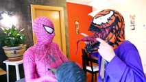 Pink Spidergirl vs BAD JOKER Becomes Iron Man, Hulk, Venom, Ninja Turtles ft Spiderman & Frozen Elsa