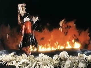 kate bush the line the cross and the curve