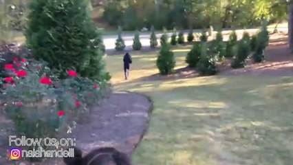 Bad Baby Halloween Prank Gone Wrong  part4