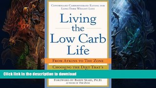 READ  Living the Low-Carb Life: From Atkins to the Zone Choosing the Diet That s Right for You