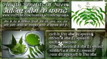 Neem | Top 10 health Benefits of Neem In Hindi |  नीम के फायदे  | Health benefits of Azadirachta indica