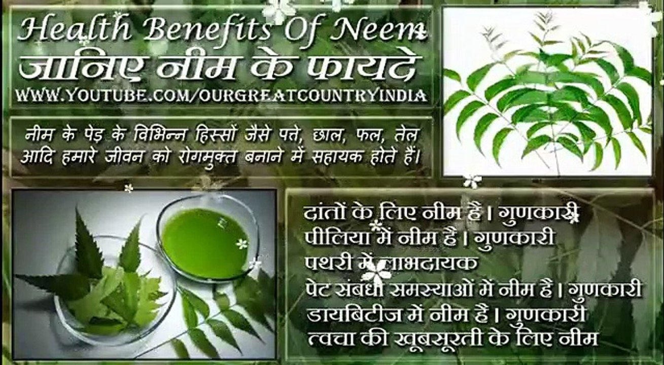 Neem | Top 10 health Benefits of Neem In Hindi |  नीम के फायदे  | Health benefits of Azadirachta indica