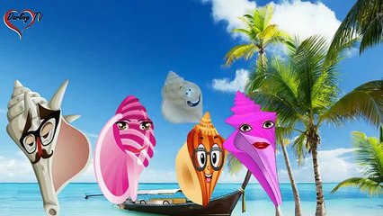 Songs for Kids | Conch Finger Family Song for Toddlers | Nursery Rhymes for Babies