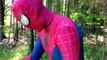COOKIE MONSTER Beats Up SPIDERMAN for Stealing Cookies | Mascot & Superhero Adventures
