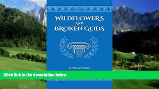 Best Buy Deals  Wildflowers and Broken Gods  BOOOK ONLINE