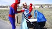 FROZEN ELSA TWIN BABIES Spiderman Frozen Anna Funny Superheroes in real life Frozen Elsa Baby HD