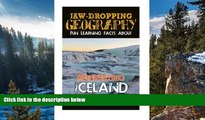 Big Deals  Jaw-Dropping Geography: Fun Learning Facts About INTERESTING ICELAND: Illustrated Fun
